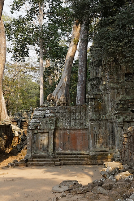 Ta Phrom et environs-111
